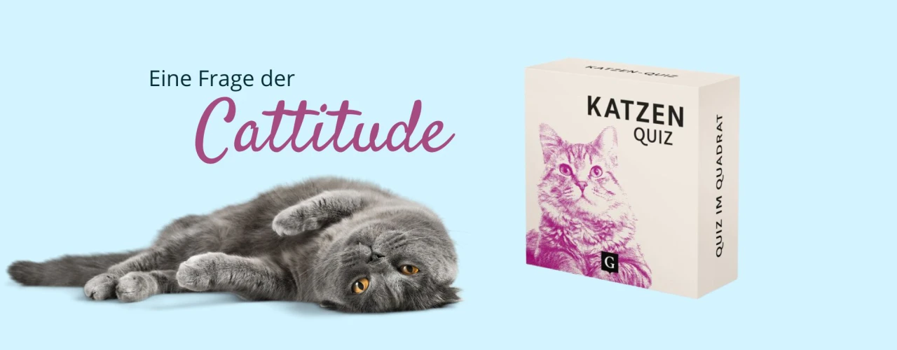 Katzen-Quiz