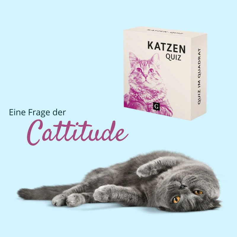Katzen-Quiz